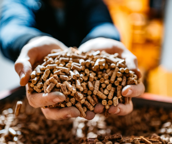 wood pellets 